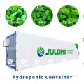 Agriculture verticale Hydroponic Container Farm Greenhouse